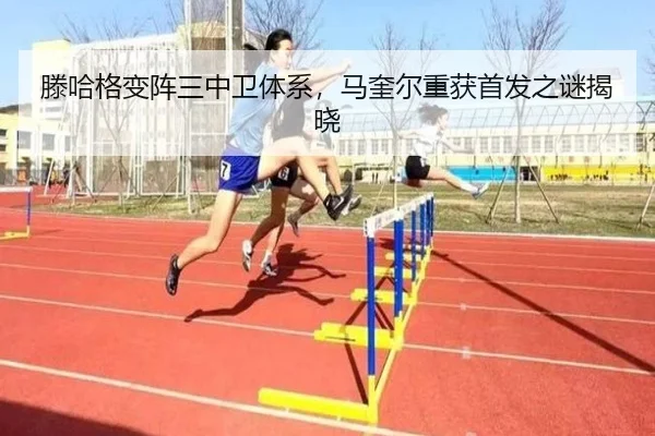 img_1781828007824_143_1_610.jpg